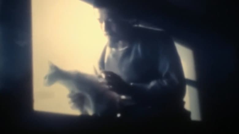 кадр из фильма 夜窓