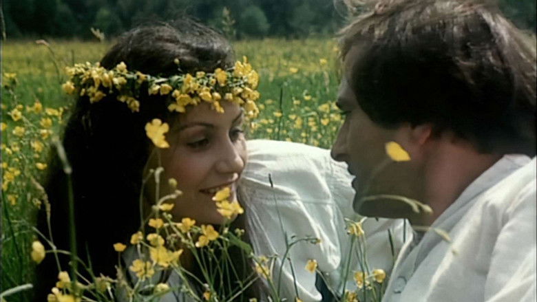 кадр из фильма Wierna rzeka