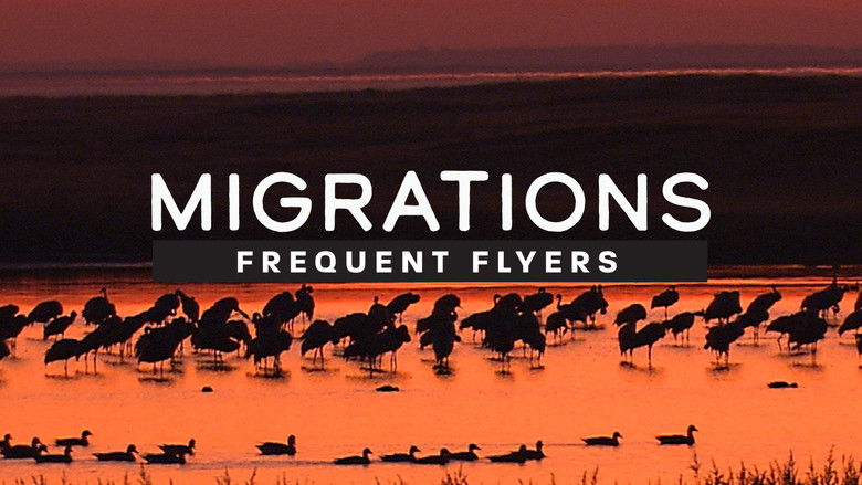 кадр из фильма Migrations: Frequent Flyers