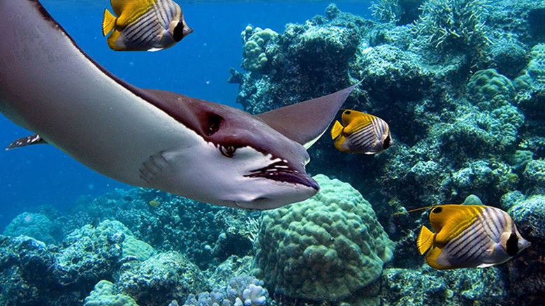 кадр из фильма Папуа 3D: Секретный остров каннибалов