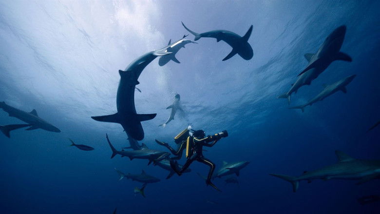 кадр из фильма Одиссея