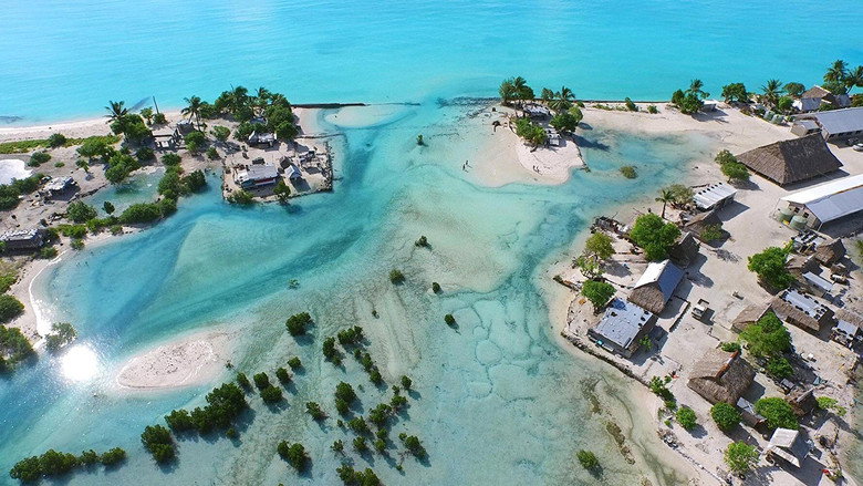 кадр из фильма Anote's Ark