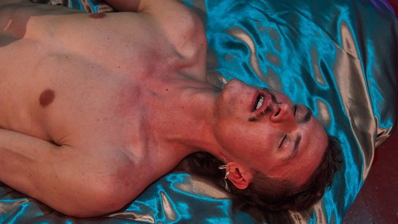 кадр из фильма Bedtime Stories: Tarot Hearts