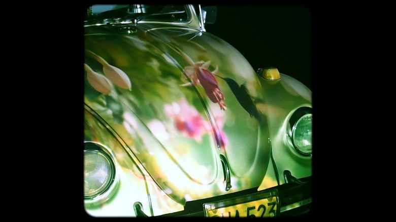 кадр из фильма Petricor