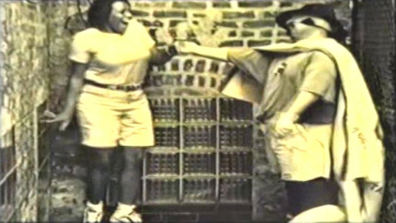 кадр из фильма The Rainbow Avenger