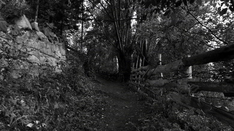 кадр из фильма Sessizlik