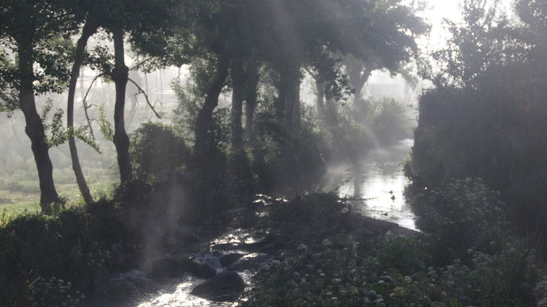 кадр из фильма Rio Torto