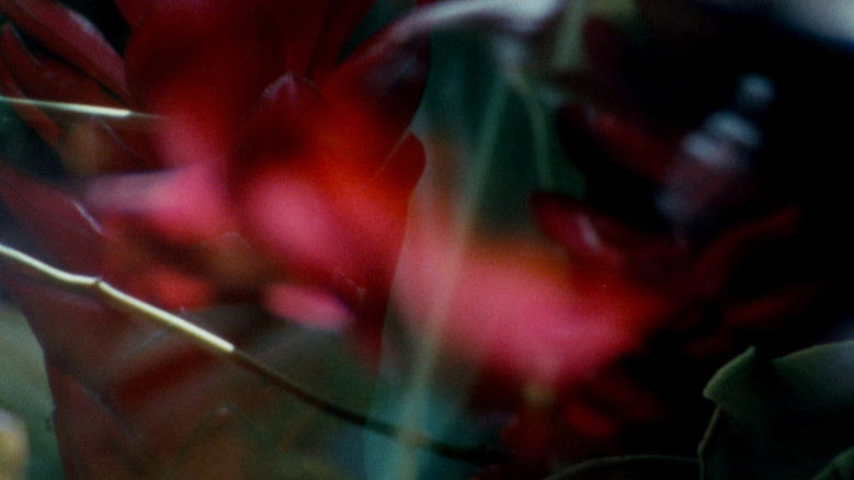 кадр из фильма Radiant Forms