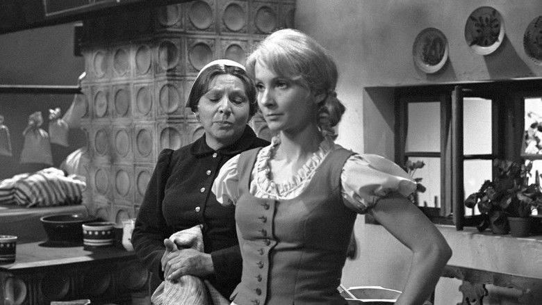 кадр из фильма Lesní ženka