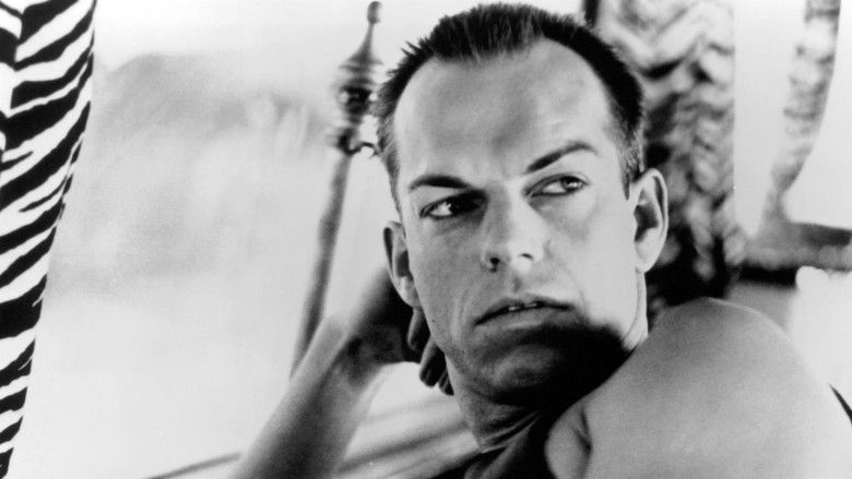 кадр из фильма Приключения Присциллы, королевы пустыни