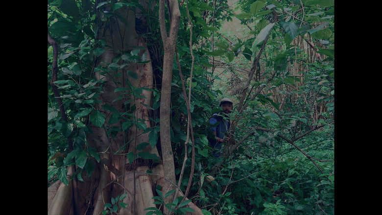 кадр из фильма Old World