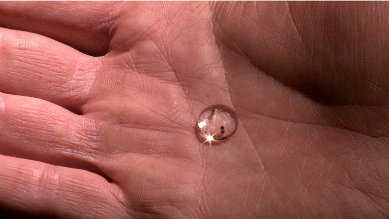 кадр из фильма Peau d'âme