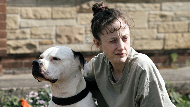 кадр из фильма Dragonfly