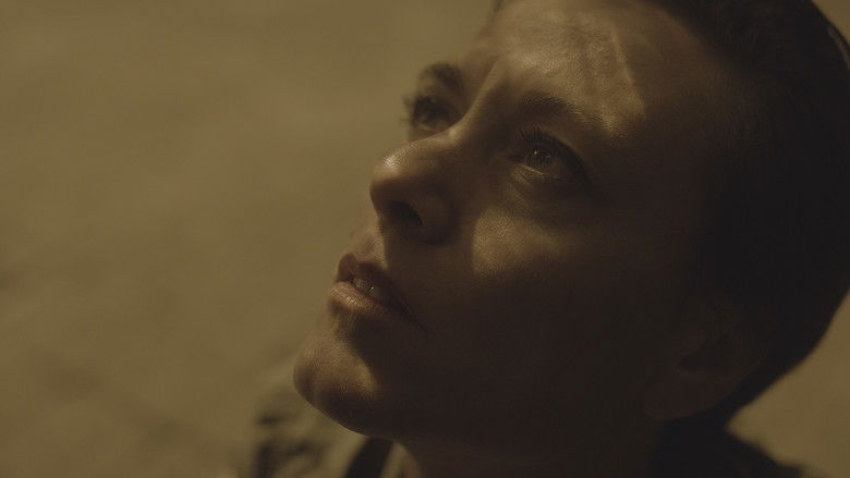 кадр из фильма Tot el que brilla