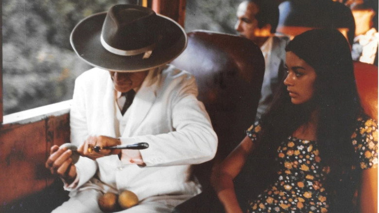 кадр из фильма A Faca e o Rio