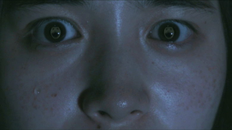 デスフォレスト 恐怖の森5