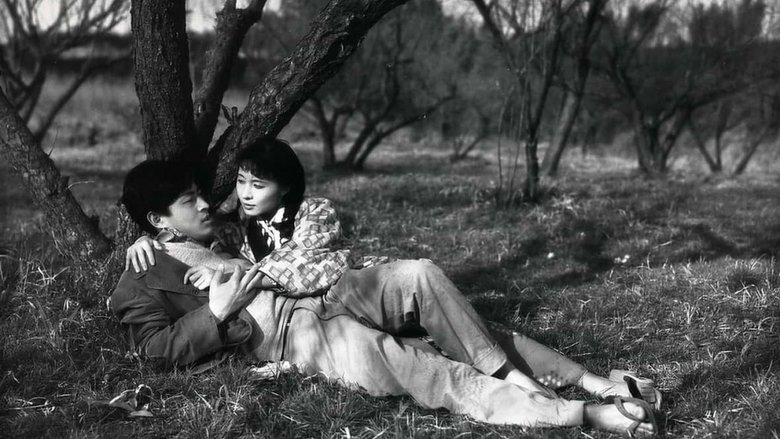 Украденное вожделение