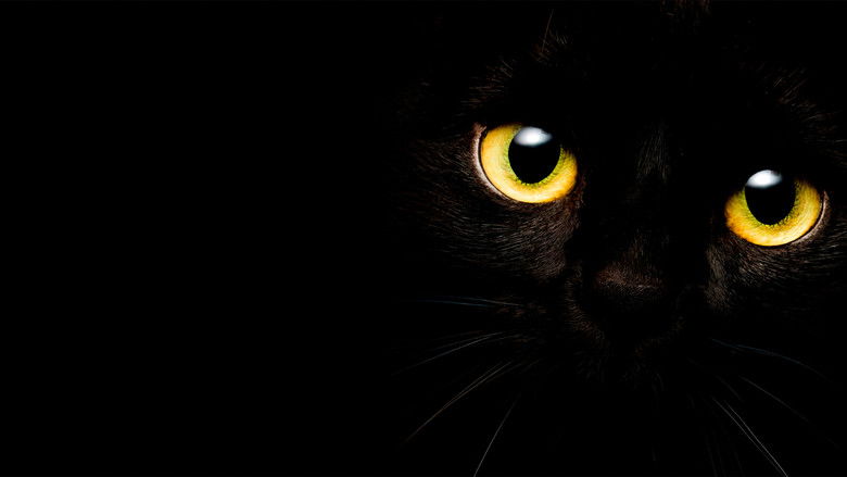 кадр из фильма Я — кот