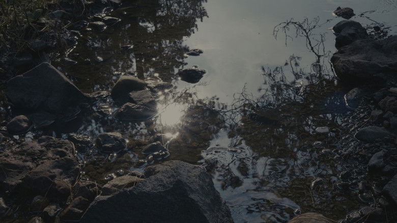 кадр из фильма Para atrapar el viento