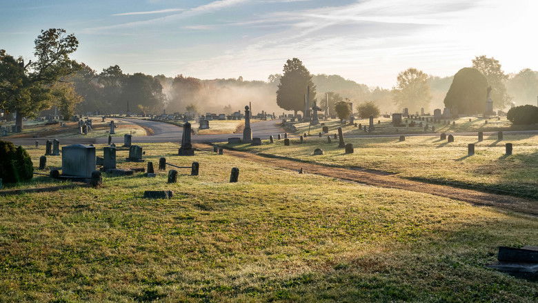 кадр из фильма Рэймонд и Рэй