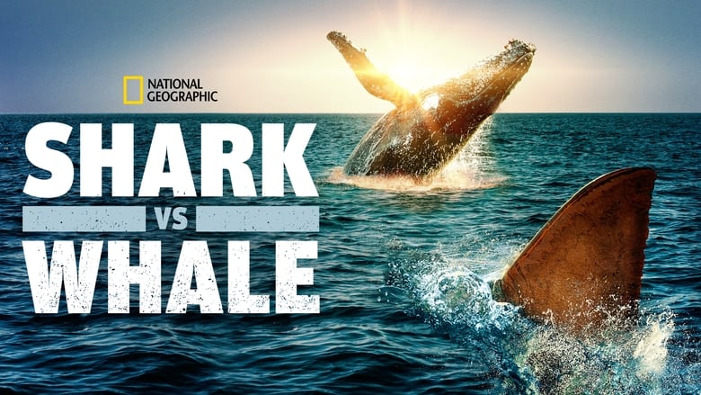 кадр из фильма Shark Vs. Whale