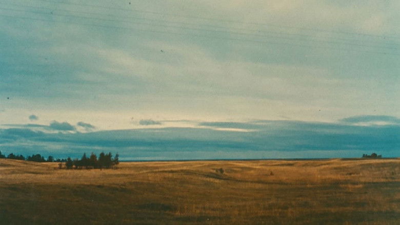 кадр из фильма Письмо из Сибири