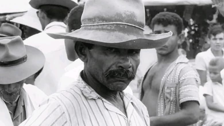 кадр из фильма Maioria absoluta