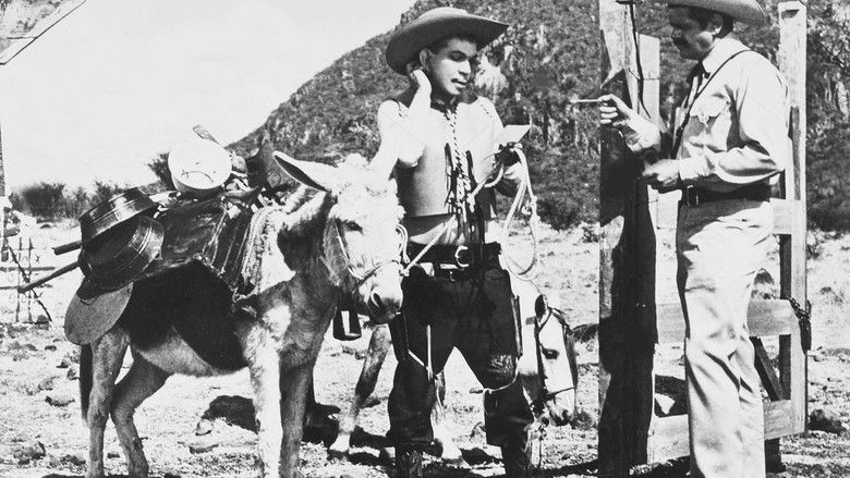 кадр из фильма Por mis pistolas