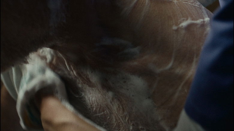 кадр из фильма Würdenbewahrerin