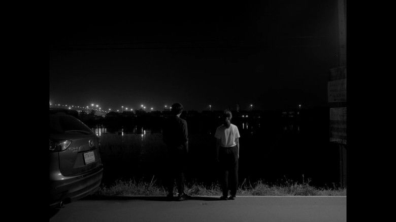 кадр из фильма Wetland, Dryland