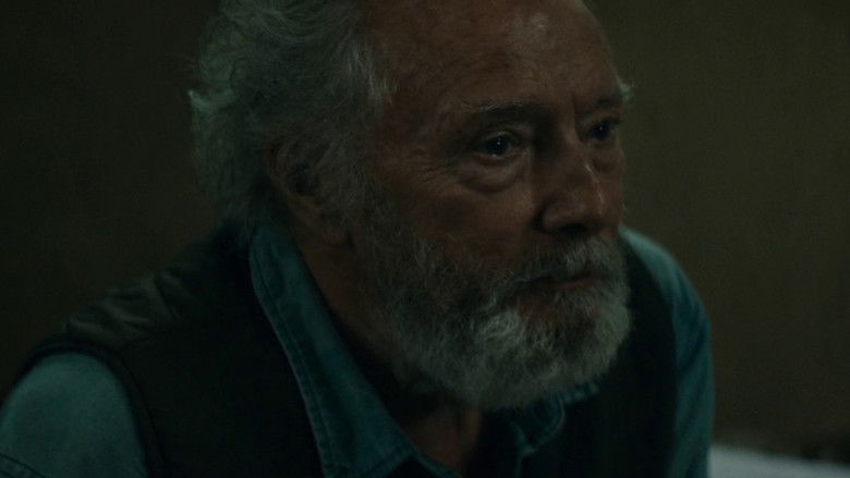 кадр из фильма Птицы падали дождем