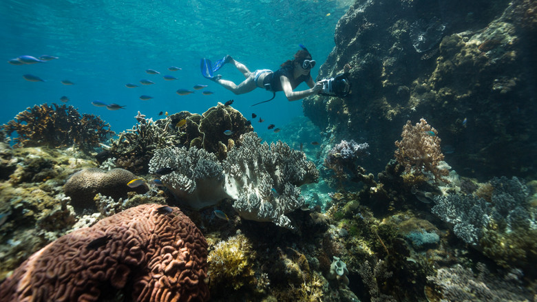 кадр из фильма The Map to Paradise