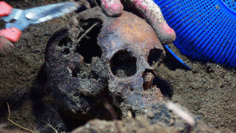 кадр из фильма 해원