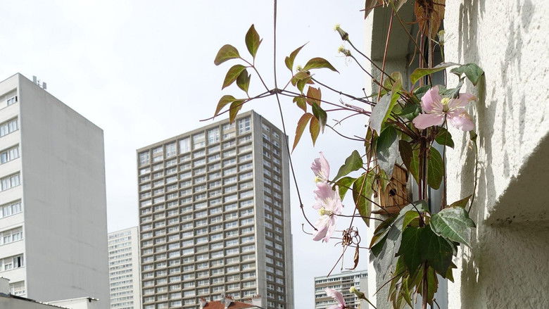 кадр из фильма Mes voisins sauvages