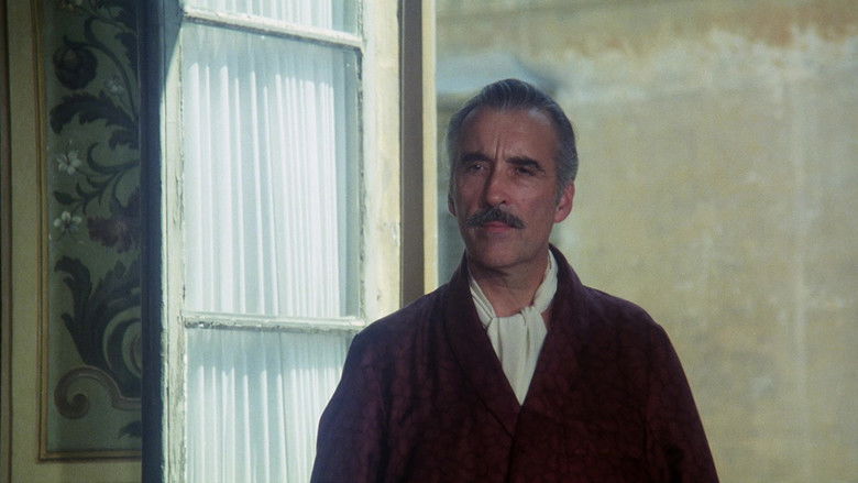 кадр из фильма Саламандра