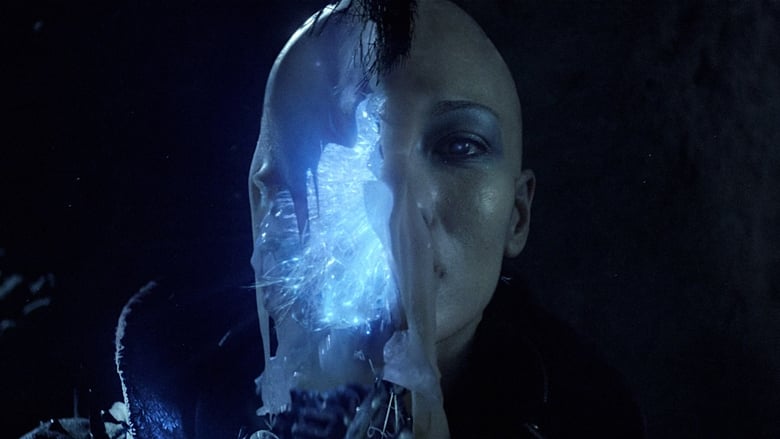 кадр из фильма Lost Boy