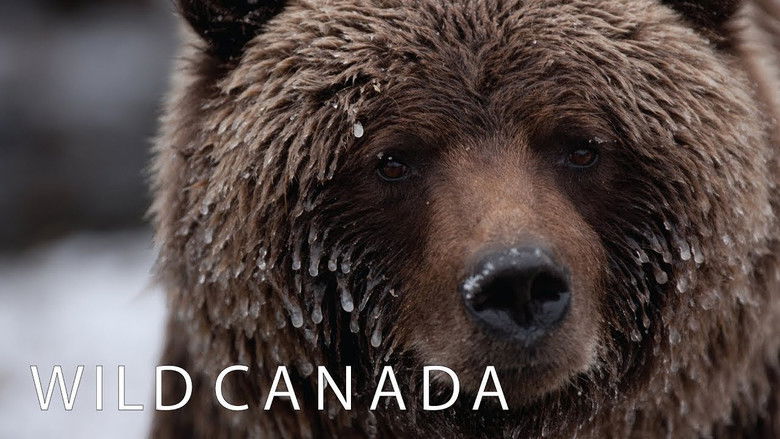 кадр из фильма Wild Canada