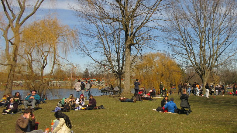 кадр из фильма Eclipse - the movie