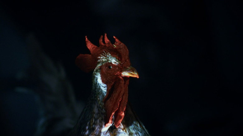 кадр из фильма Rooster Road