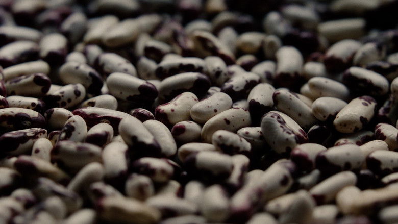 кадр из фильма Yachay Terra