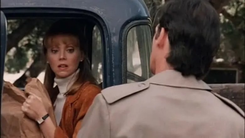 кадр из фильма A Message from Holly