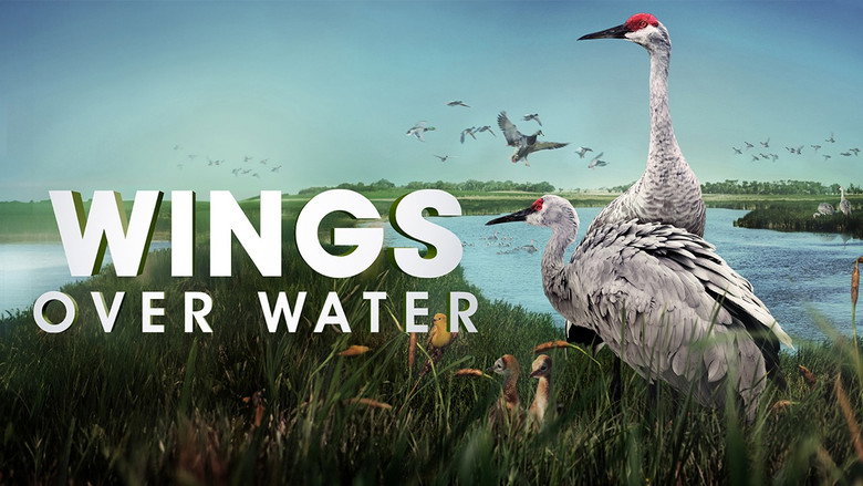 кадр из фильма Wings Over Water