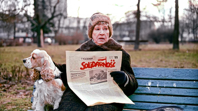 кадр из фильма Rozmowy kontrolowane