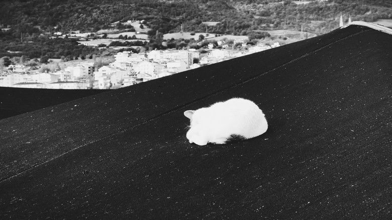 кадр из фильма Gemi Mezarlığı