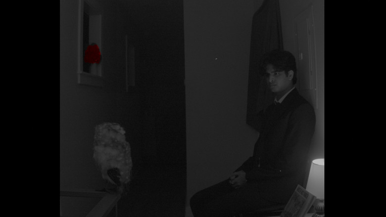 кадр из фильма Waiting Room