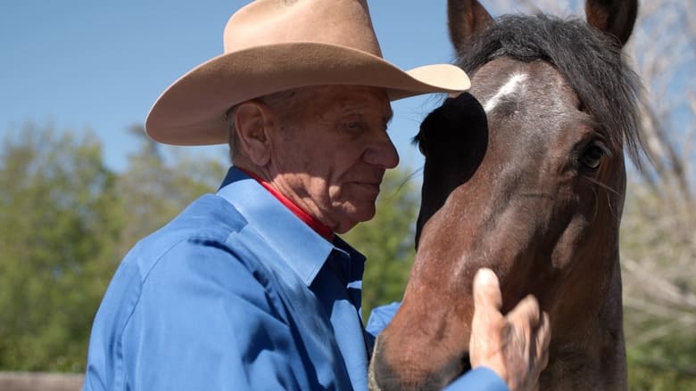 кадр из фильма The Cowboy and the Queen