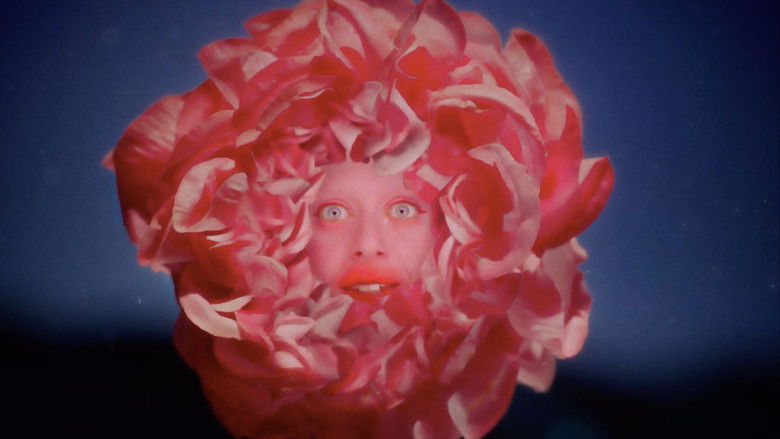 кадр из фильма Once In A Full Moon