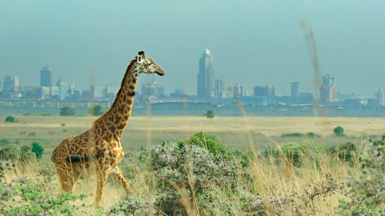 кадр из фильма Разрушая границы: Научный взгляд на нашу планету