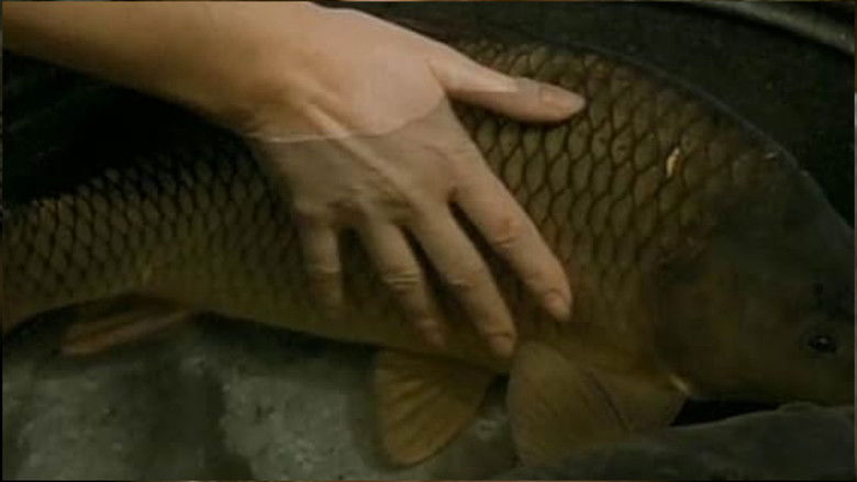 кадр из фильма Конспираторы наслаждений