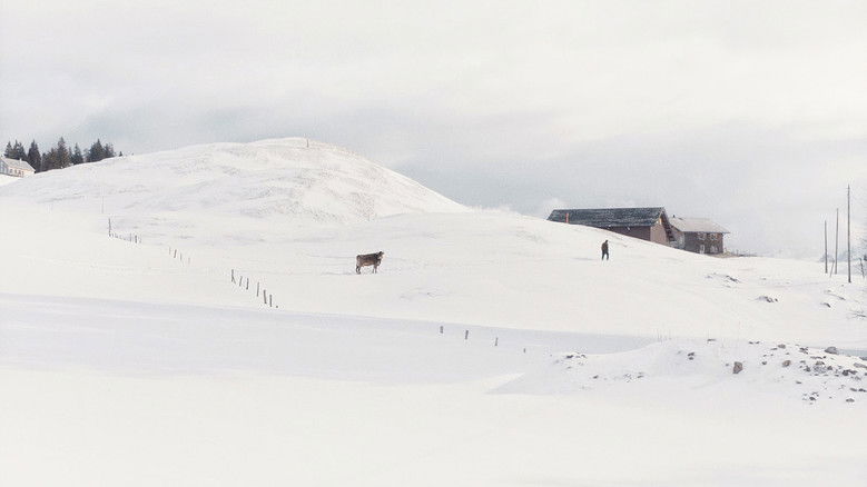 кадр из фильма Drii Winter